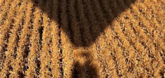 Baptême de l'air en montgolfière by Aéro64 vers Pau, Pyrénées